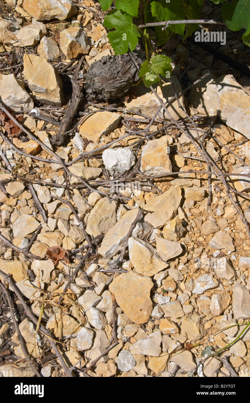 Soil detail. Calcareous. Mas Montel, Sommieres, Languedoc, France Stock Photo