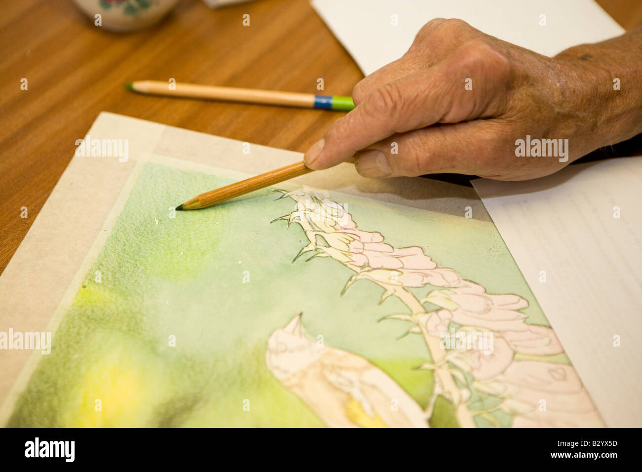 artist using pencils on artwork Stock Photo Alamy