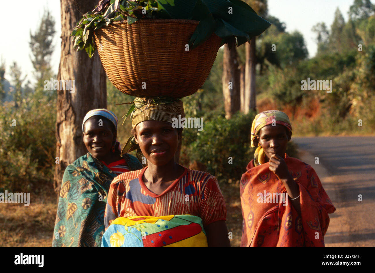 Woman carrying basket of leaves on head, Burundi Stock Photo