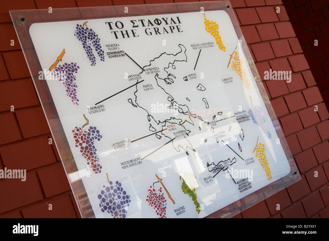 Map of Greek vine varieties. Boutari Wineries, Steinmachos, Naoussa, Macedonia, Greece Stock Photo