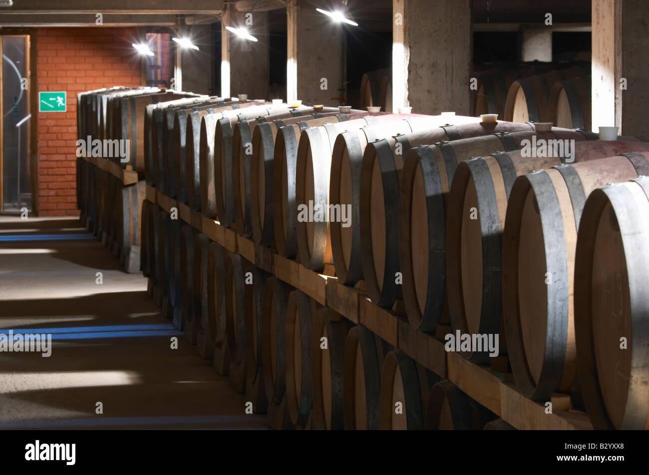 Greek Fermentation Oak barrel aging and fermentation cellar. Boutari Wineries, Steinmachos ...