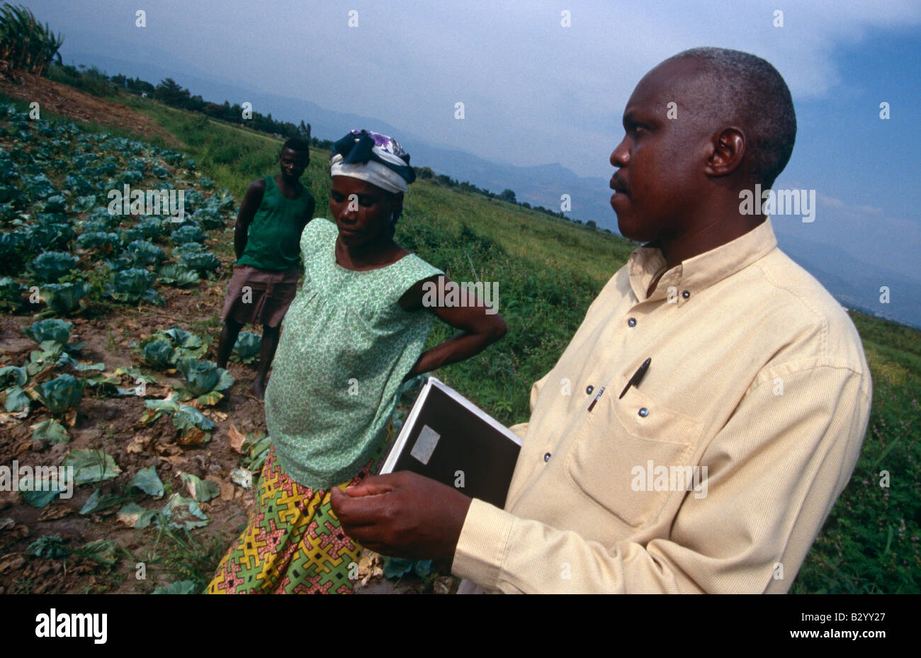 A vegetable farm in Burundi Stock Photo Alamy