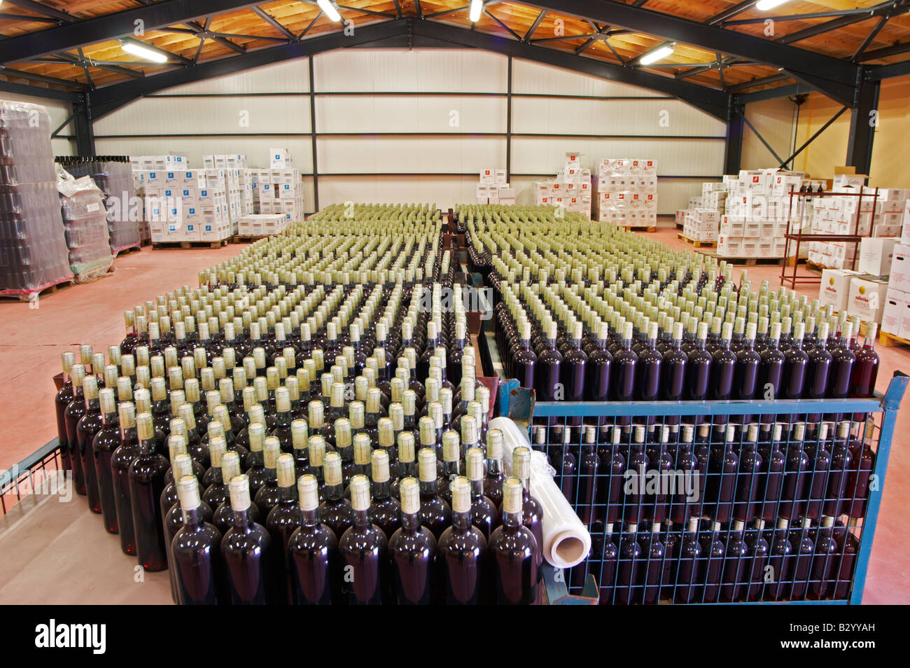 Bottles stored in the cellar. Amyntaion wine cooperative, Amyndeon