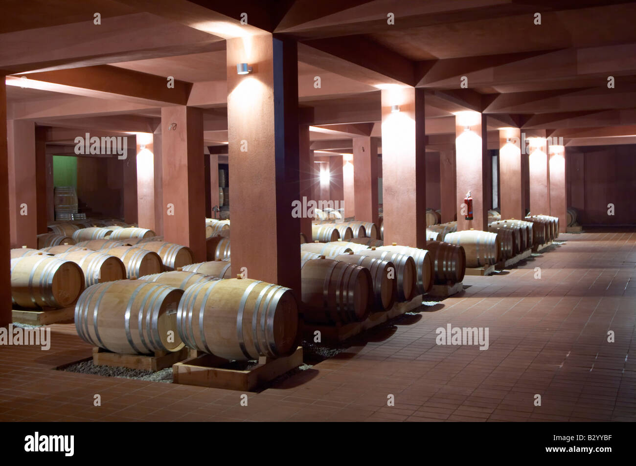 Oak barrel aging and fermentation cellar. Alpha Estate Winery, Amyndeon