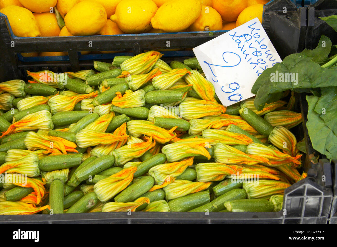 On a street market. Fruit and vegetable stands. Zucchini squash with