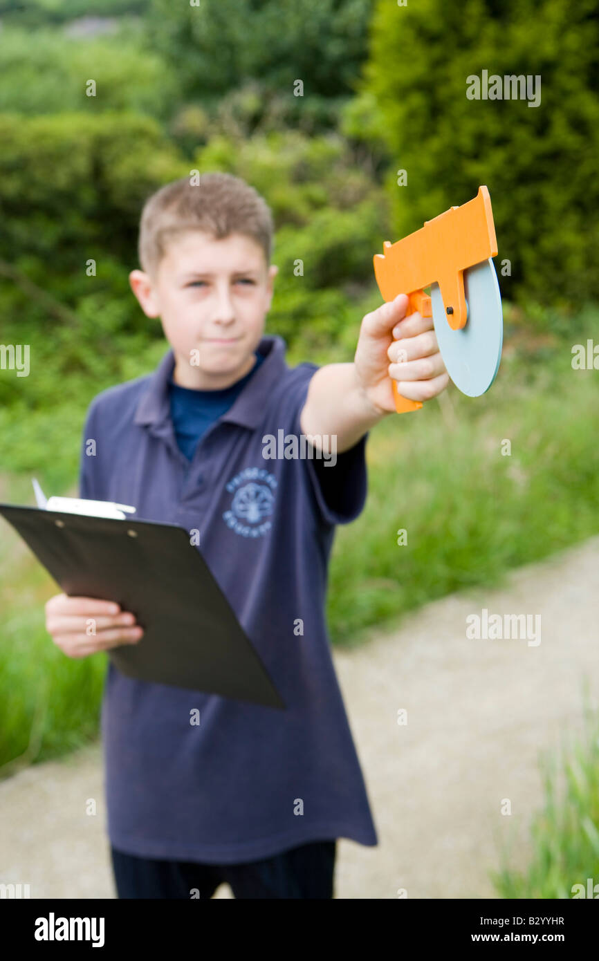 using geometry to find the height of a tree Stock Photo