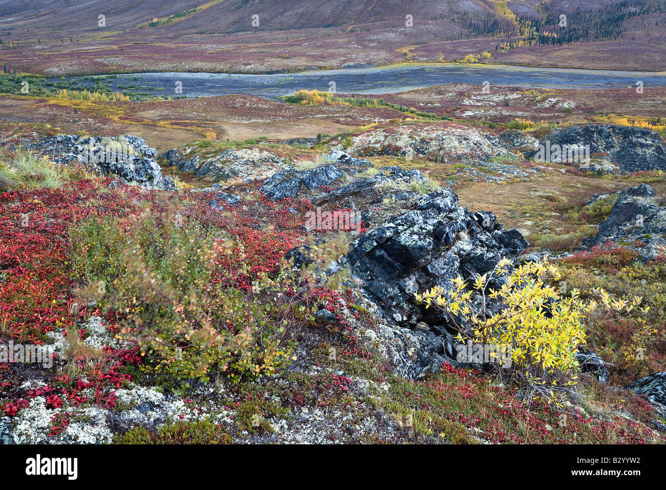 River through Tundra, North Klondike River Valley, Tombstone ...