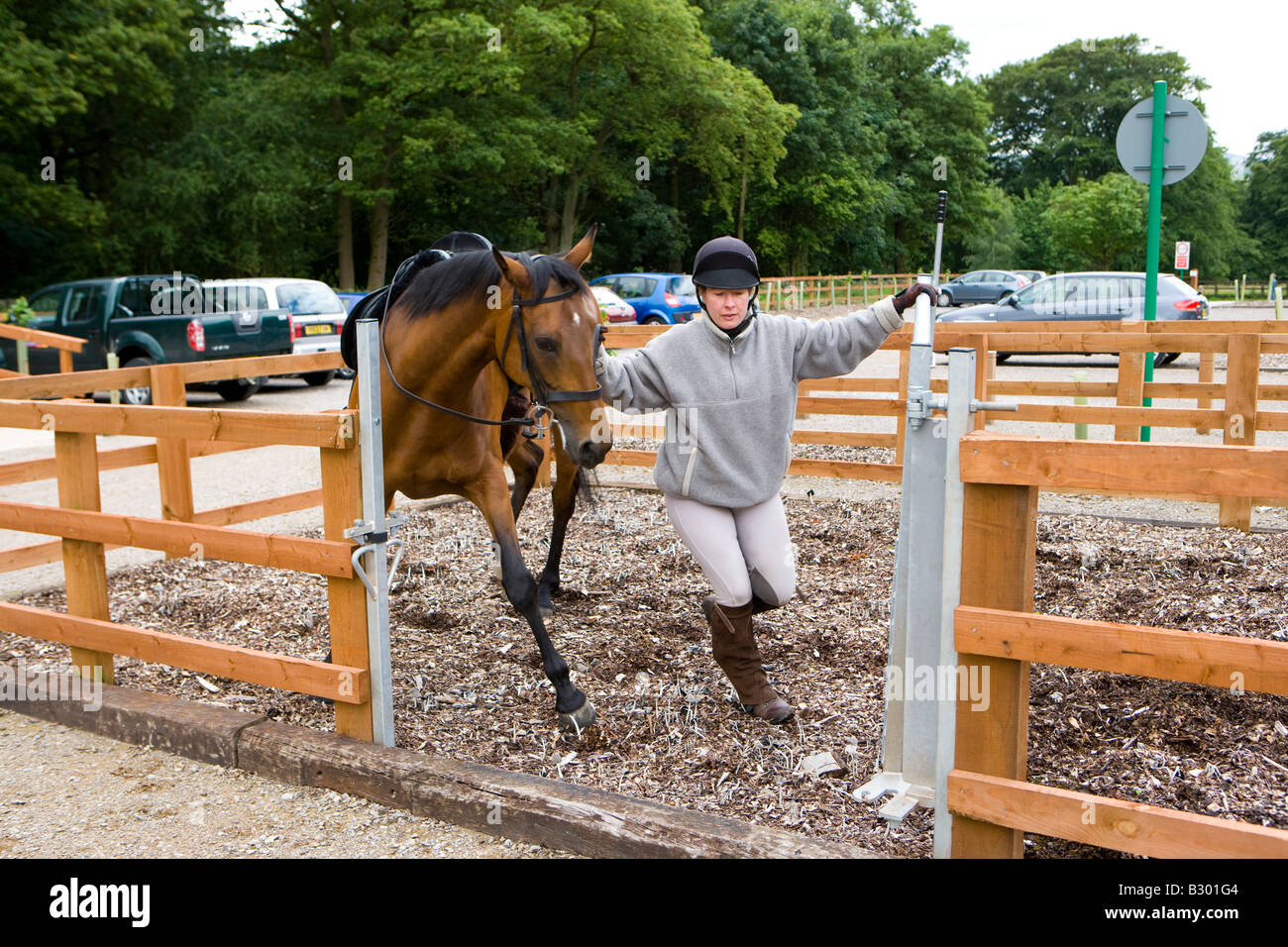 Horse And Rider High Resolution Stock Photography and Images Alamy