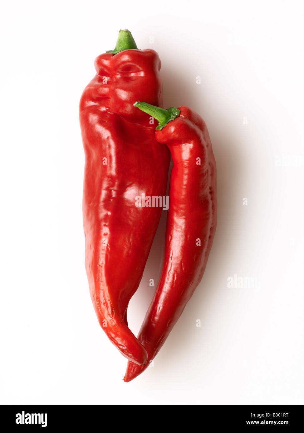 Chili Peppers Stock Photo