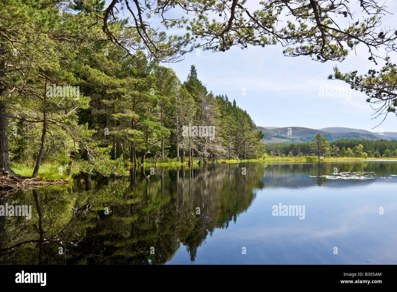 A view of one Uath Lochans in Feshiebridge in the Cairngorms National Park Highland Scotland Stock Photo