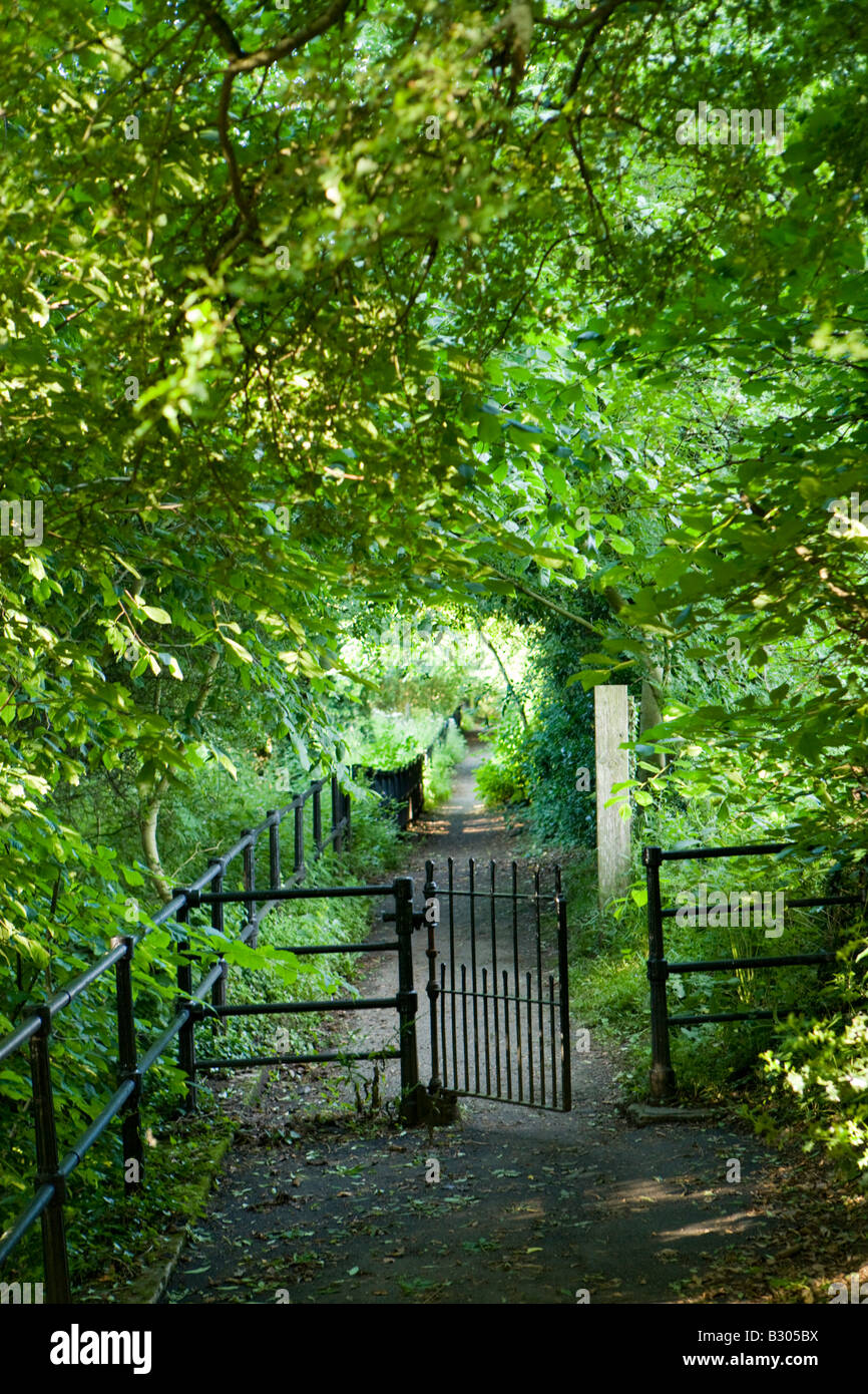 gateway on a woodland path Stock Photo