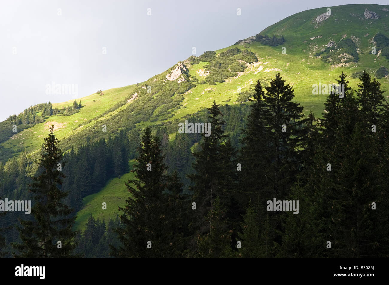 Mountain alps, near Baad, Kleinwalsertal, Austria Stock Photo