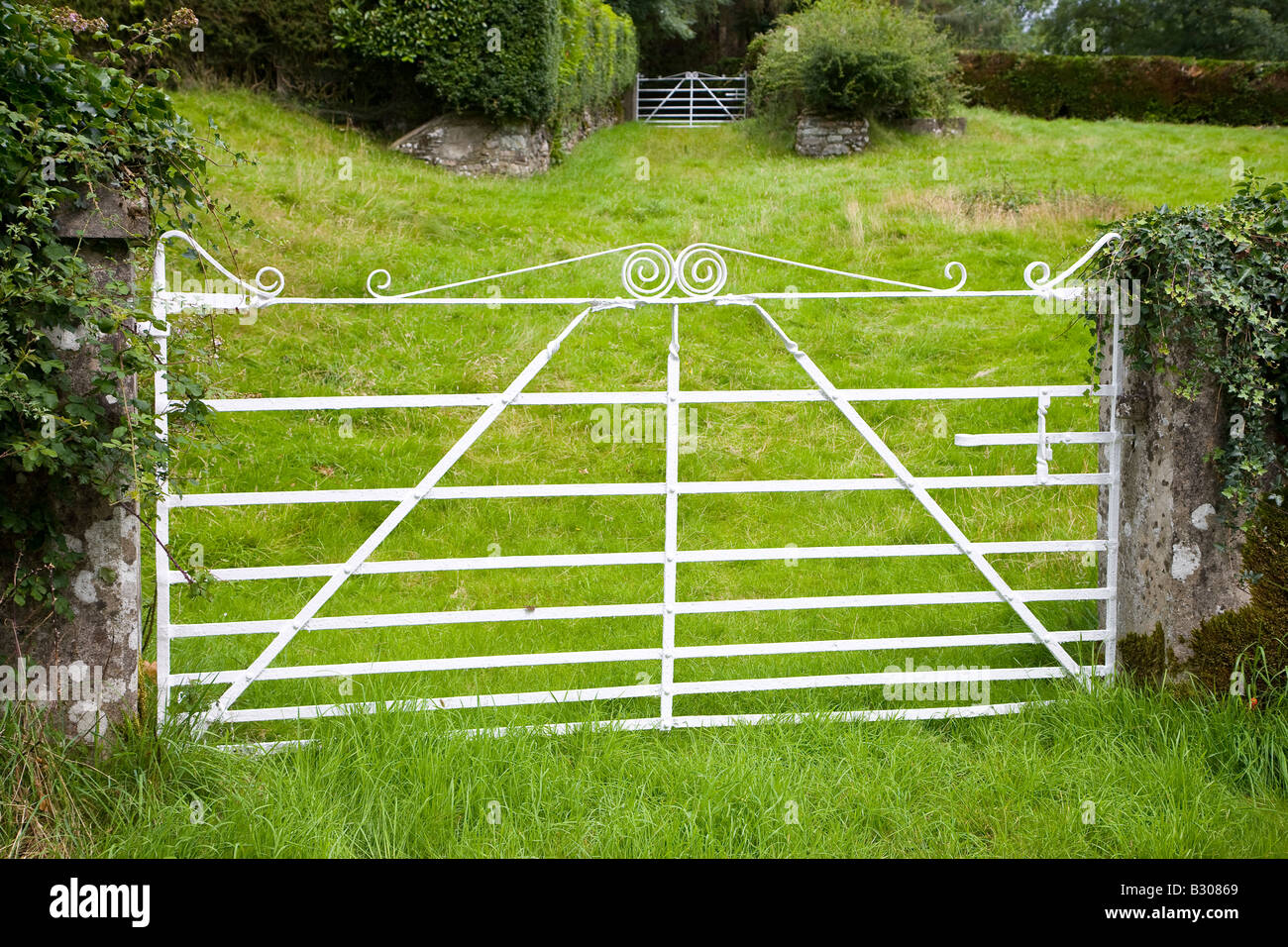 white farm gate with field of green grass Stock Photo