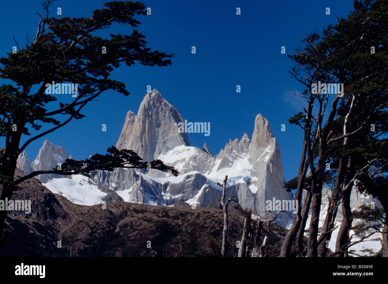 Argentina, Santa Cruz Province, Parque Nacional Los Glaciares, Cerro Fitzroy. Cerro Fitzroy, in the Los Glaciares National Park, framed by trees. This granite peak rises to 11,073 feet (3,375 m) above sea level and was first climbed in 1952 by Terray and Magnone. Stock Photo