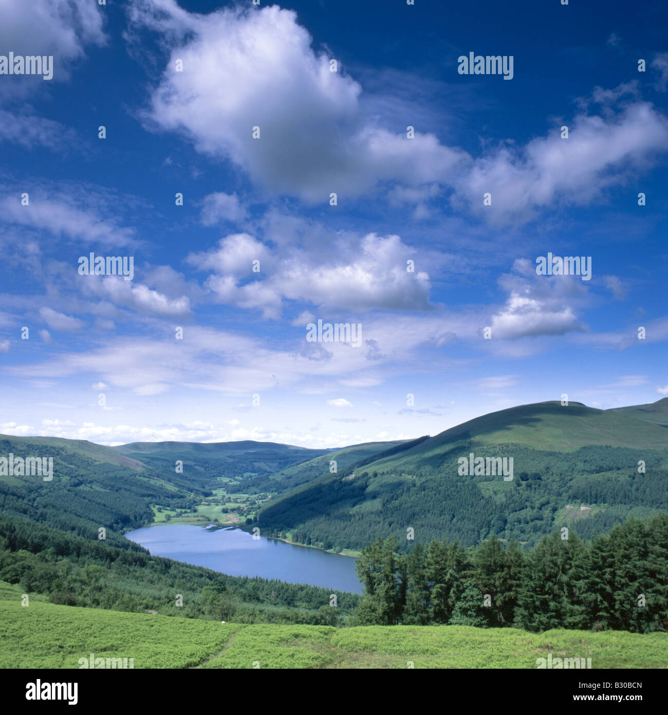 Glyn Collwn and Talybont Reservoir, Brecon Beacons, Wales, UK Stock Photo