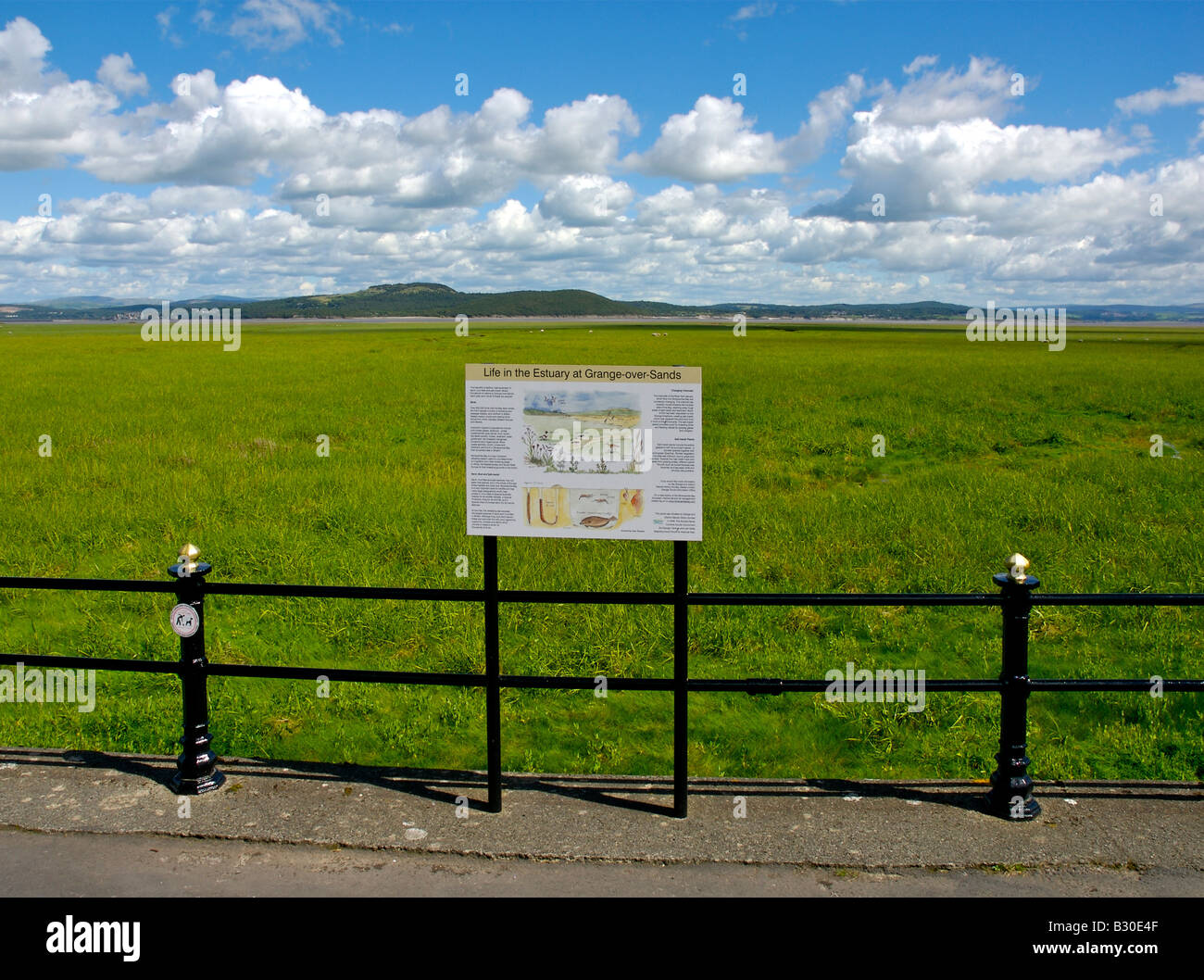 The promenade, Grange-over-Sands, looking out on a prairie of Spartina grass to morecambe Bay, Cumbria, England UK Stock Photo