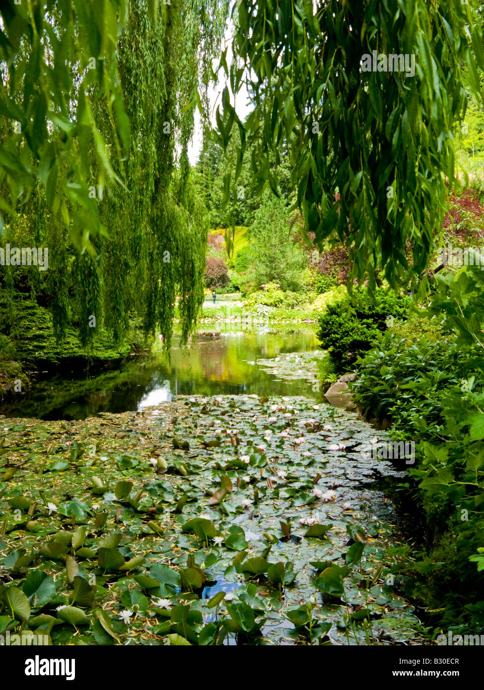 The Japanese garden at Butchart gardens, Brentwood Bay, Vancouver Island, British Columbia, Canada Stock Photo