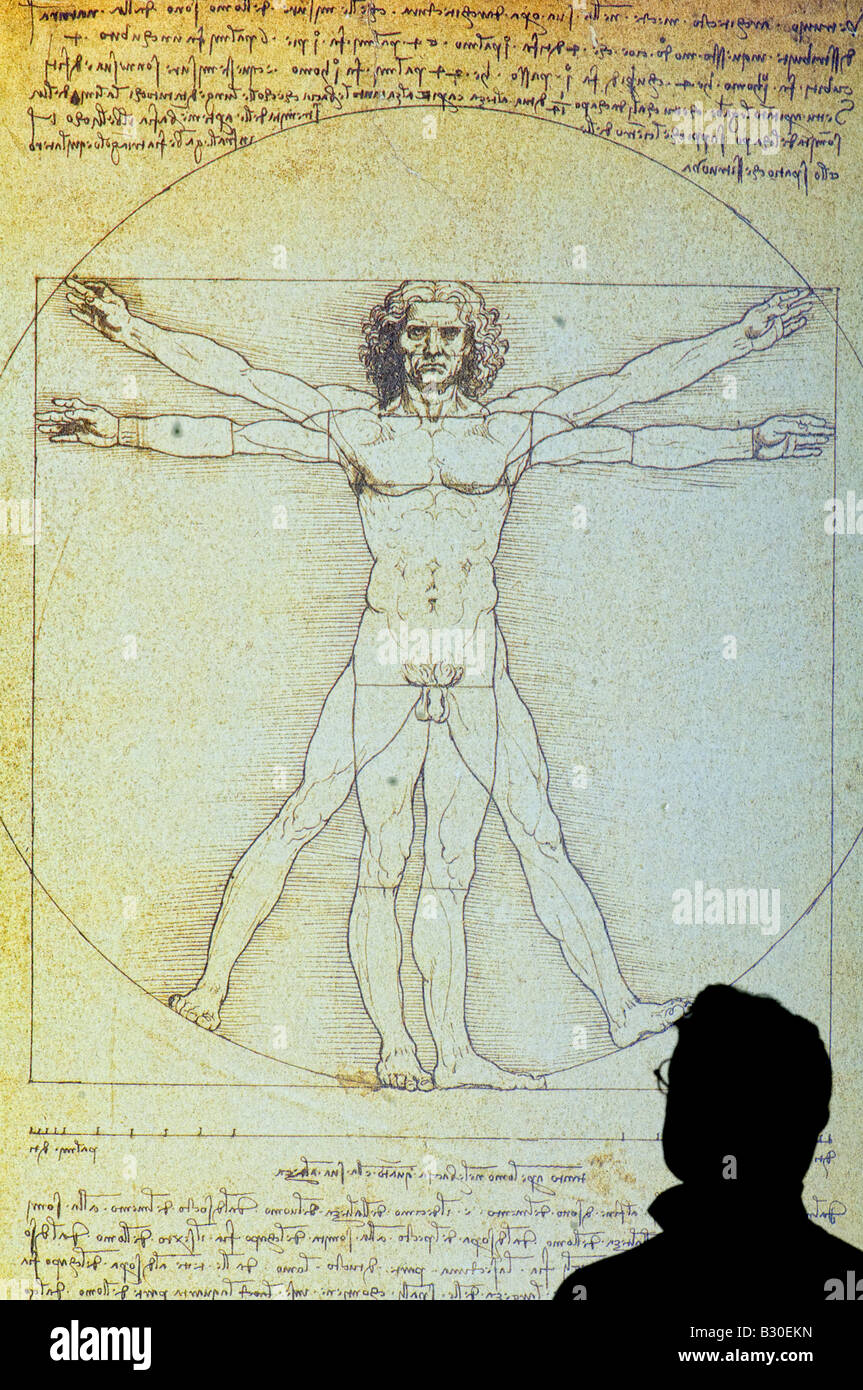 man studying poster of Vitruvian Man 1490 by Leonardo da Vinci 1452-1519 pen and ink Stock Photo