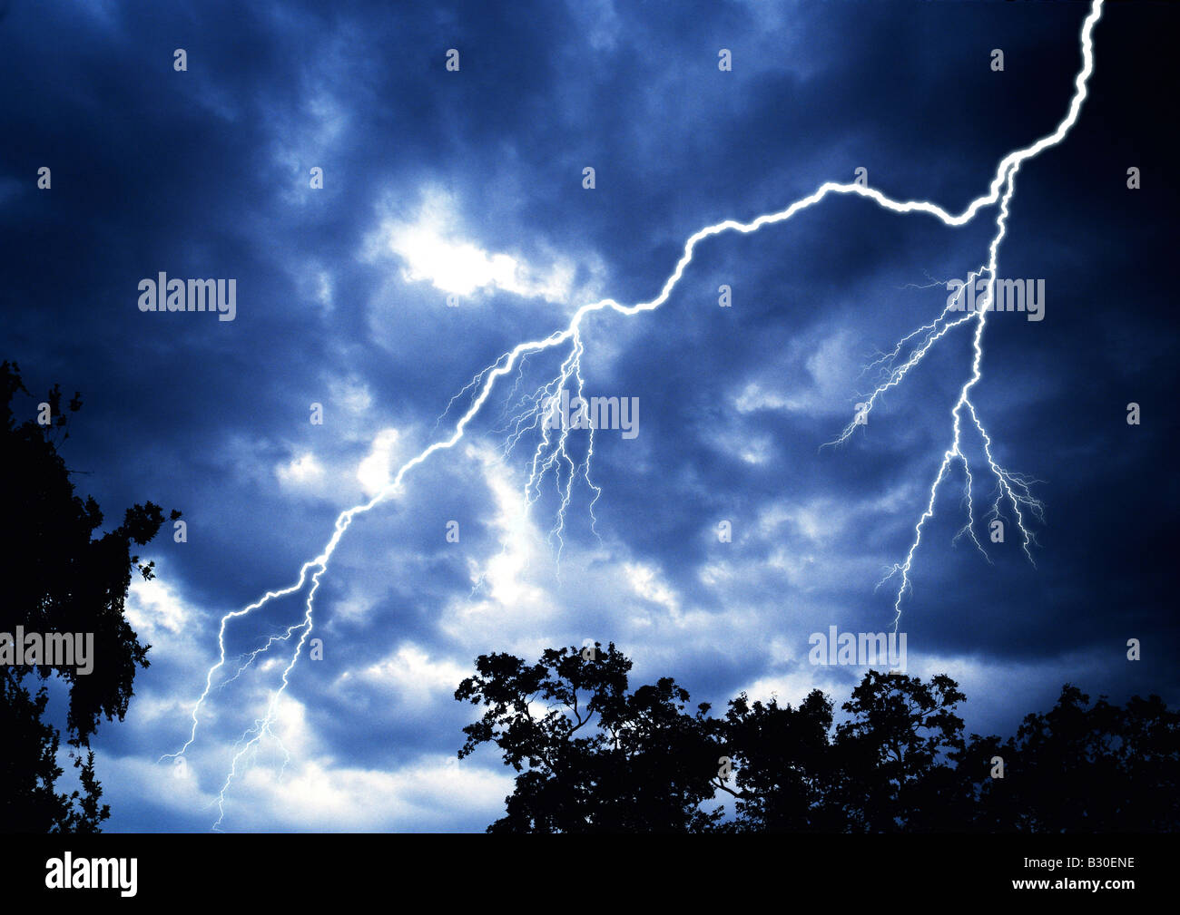 The forest hi-res stock photography and images - Alamy