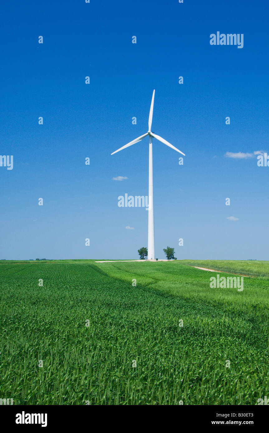A lone windmill in a grain field generating electricity in rural North