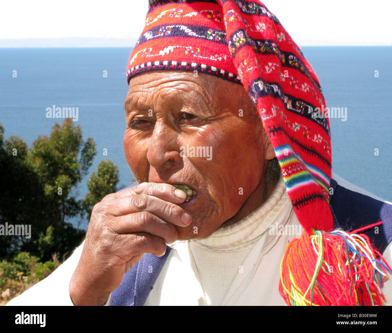 Coca leaves in hand hires stock photography and images Alamy