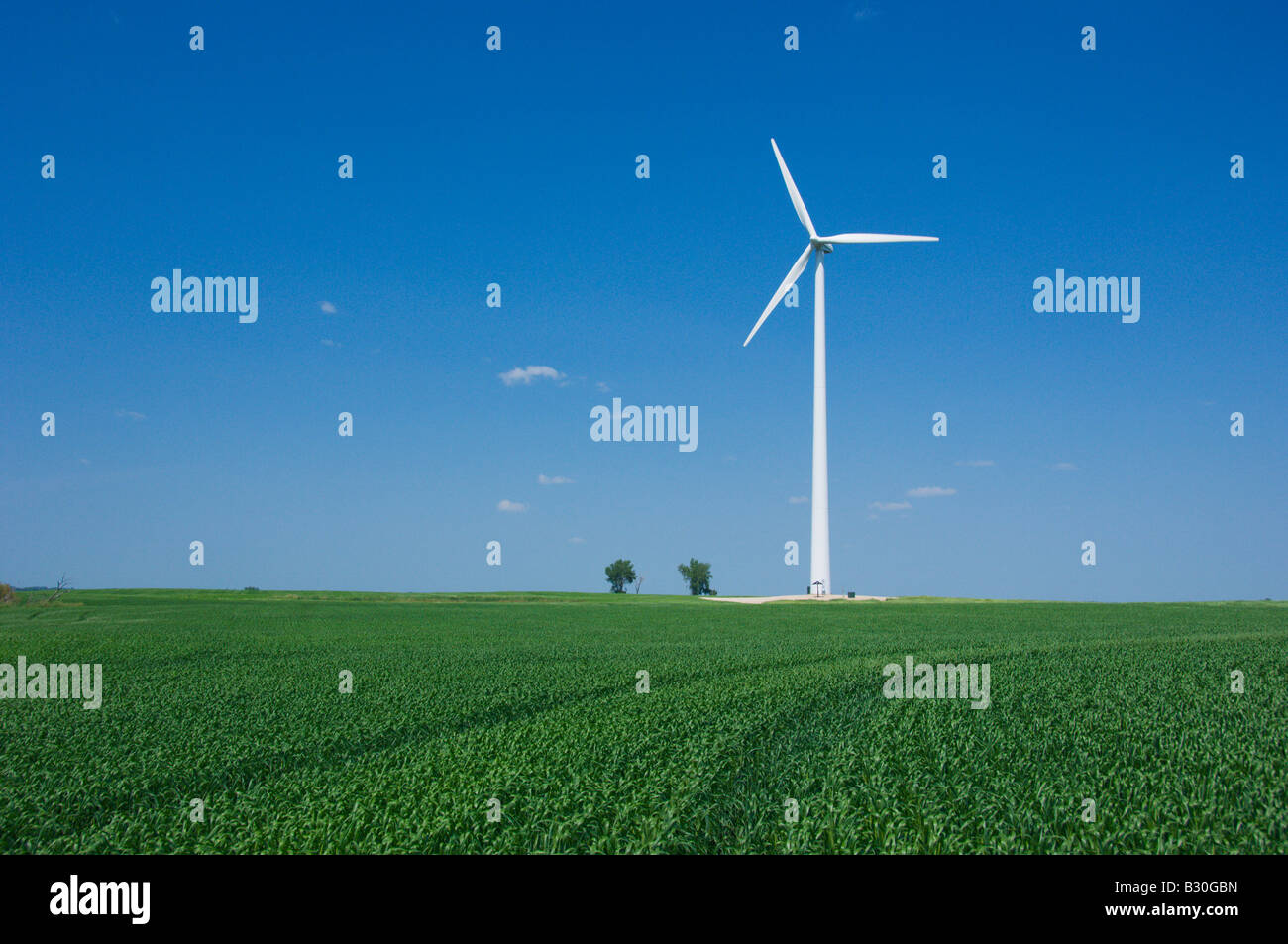 A lone windmill in a grain field generating electricity in rural North Dakota USA Stock Photo