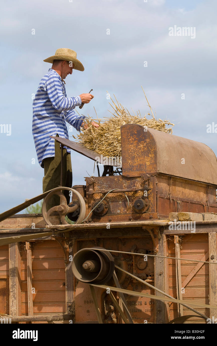French farmer feeding corn into old thresher at agricultural show, Indre, France. Stock Photo