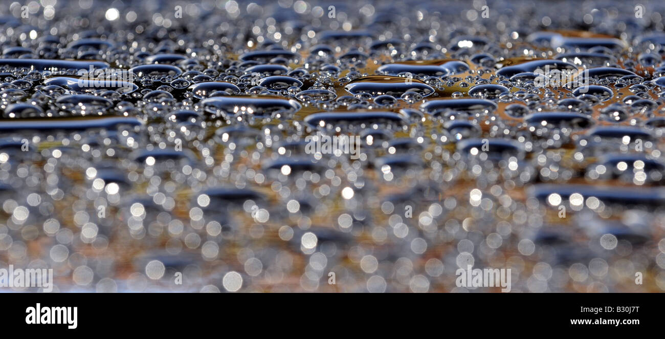 RAINWATER DROPLETS ON A BLACK CAR ROOF.UK Stock Photo