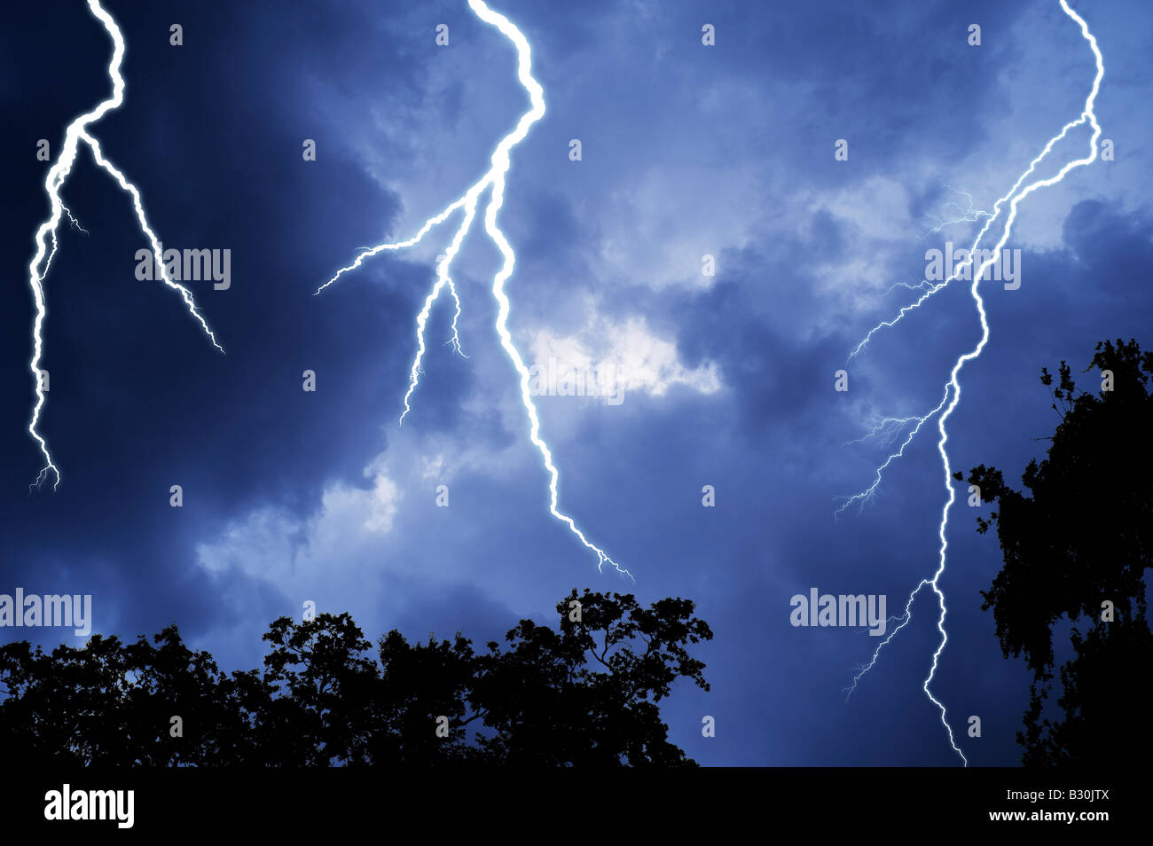bolts of lightning in forest Stock Photo