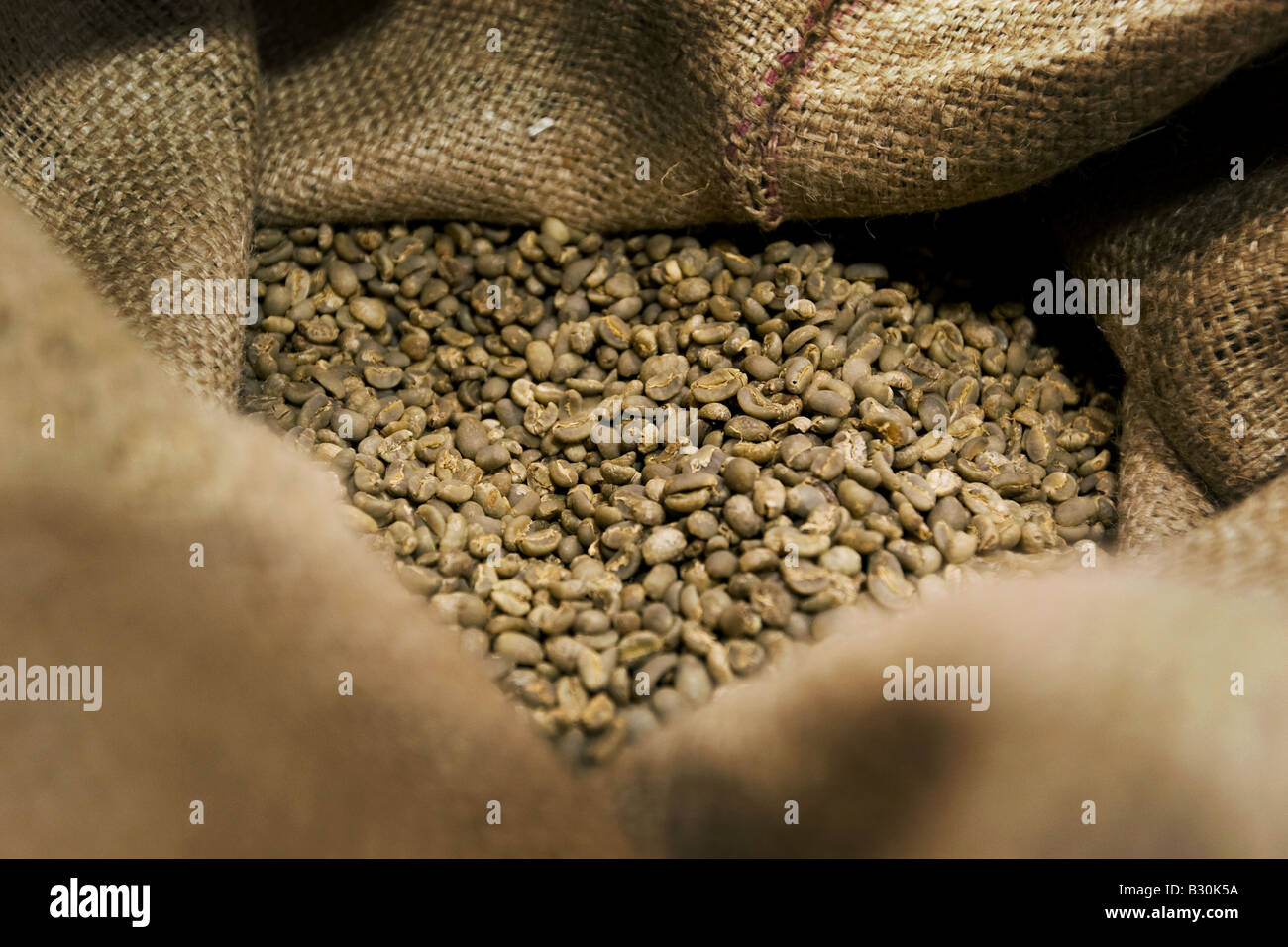 Green coffeebeans in a sack Stock Photo - Alamy