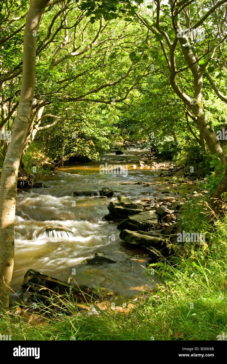 Heddon Valley Exmoor National Park North Devon Stock Photo