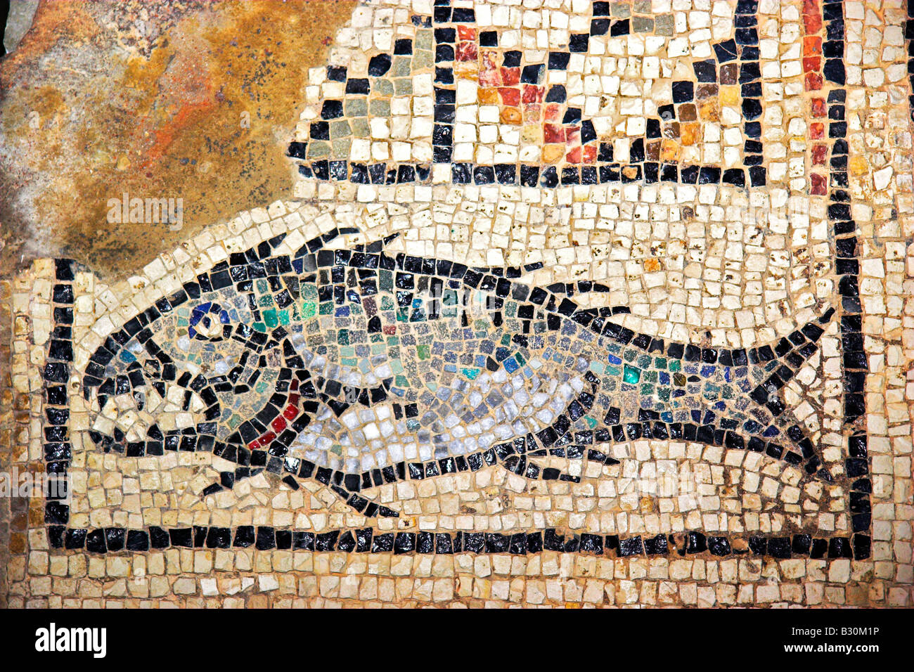 Fish Mosaic At Porec Croatia Stock Photo