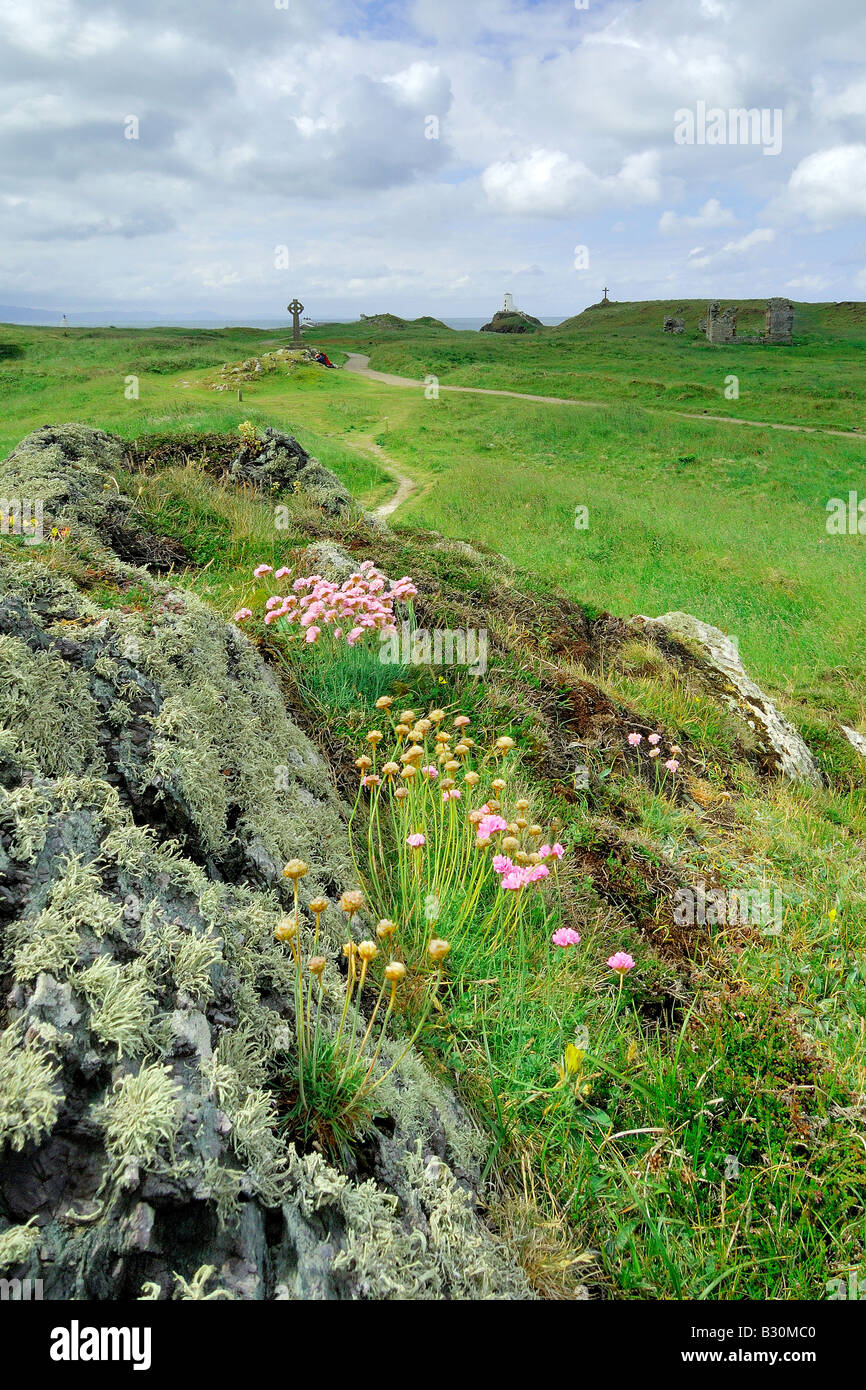 Landscape of Llanddwyn Island off the coast of Anglesey at Newborough Warren Stock Photo