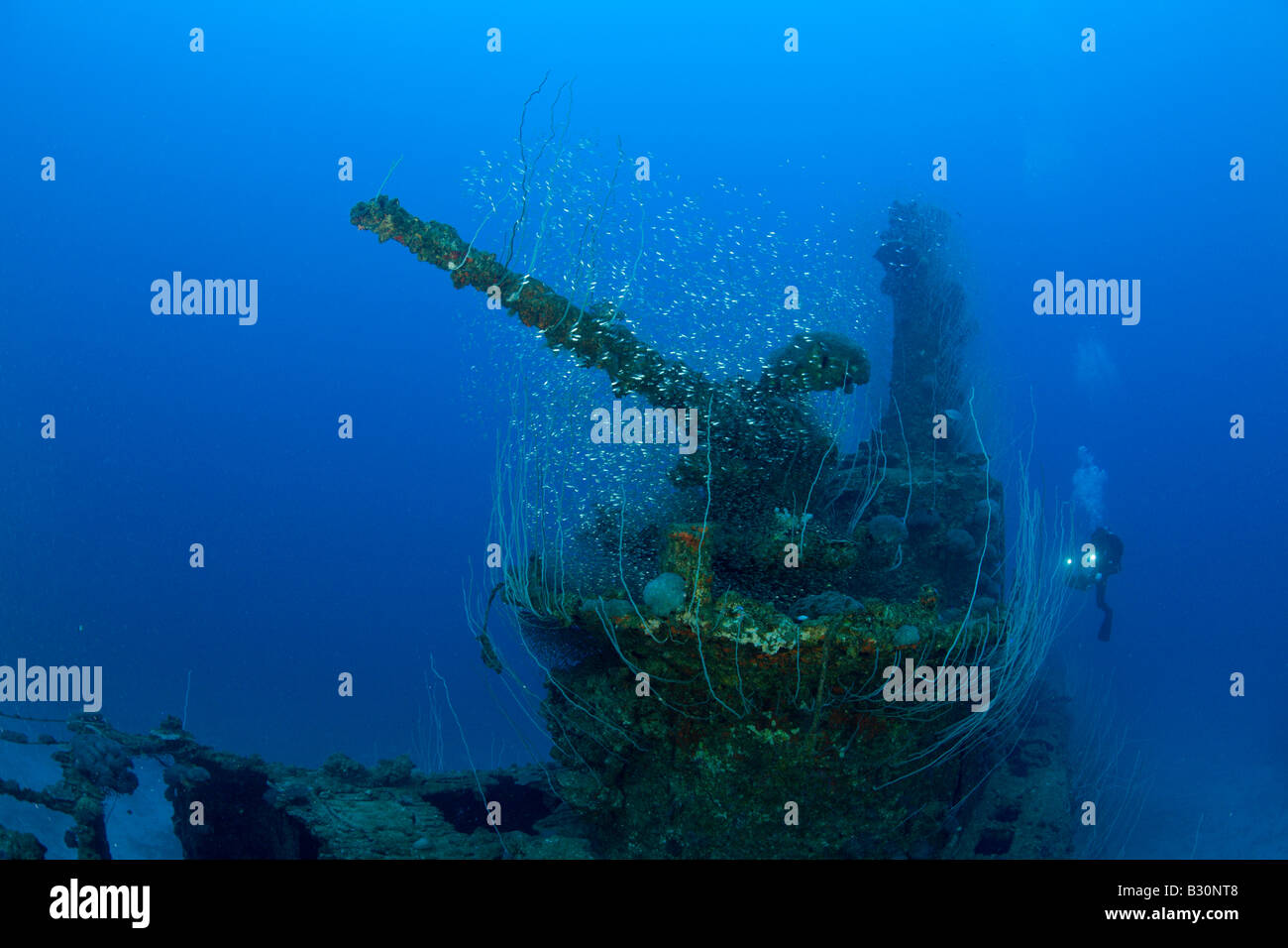 Diver and 5 inch Deck Gun of USS Apogon Submarine Marshall Islands Bikini Atoll Micronesia Pacific Ocean Stock Photo