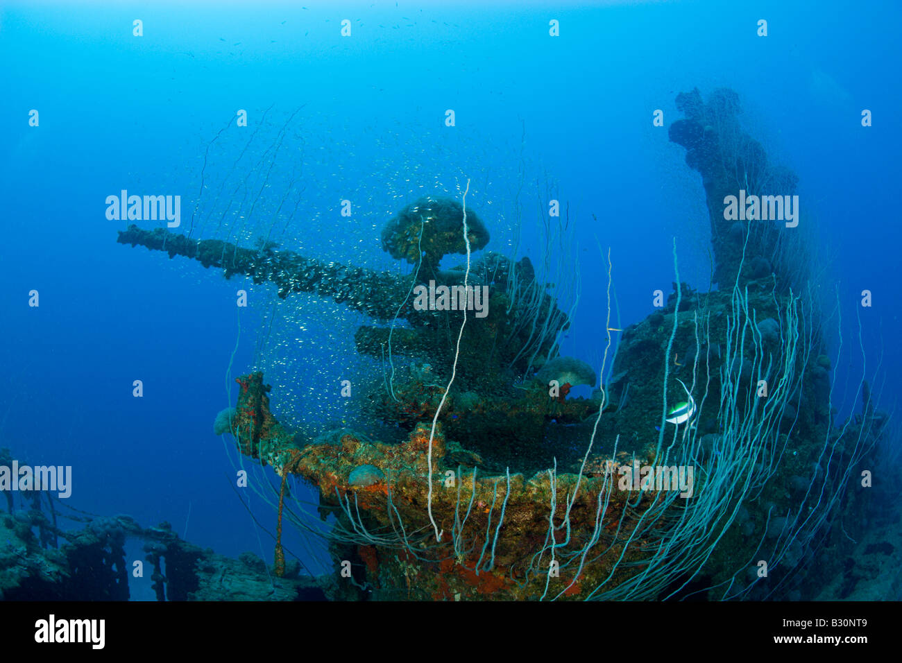 5 inch Deck Gun of USS Apogon Submarine Marshall Islands Bikini Atoll Micronesia Pacific Ocean Stock Photo