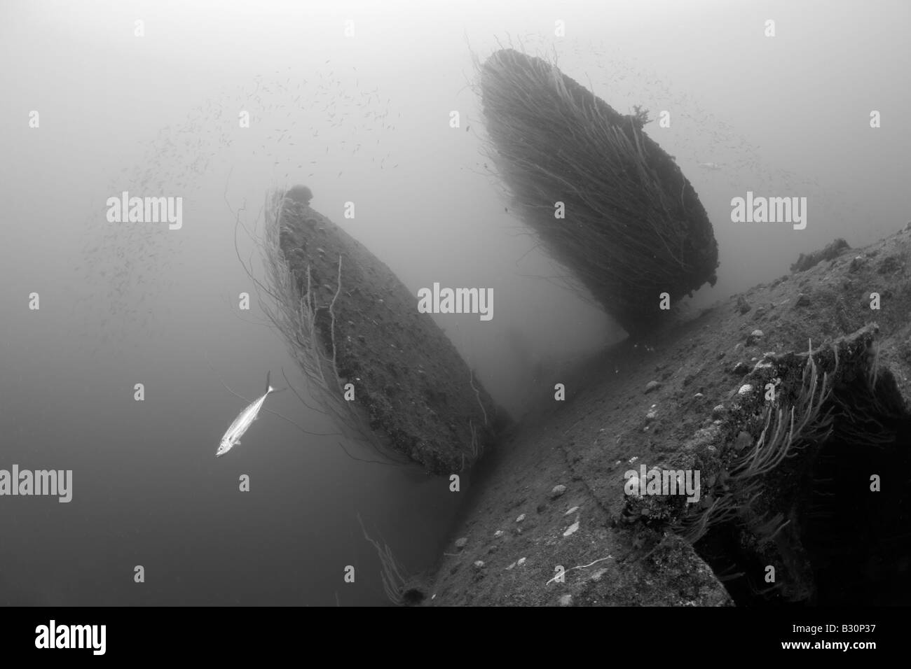 Rudder of bottom up laying HIJMS Nagato Battleship Marshall Islands Bikini Atoll Micronesia Pacific Ocean Stock Photo