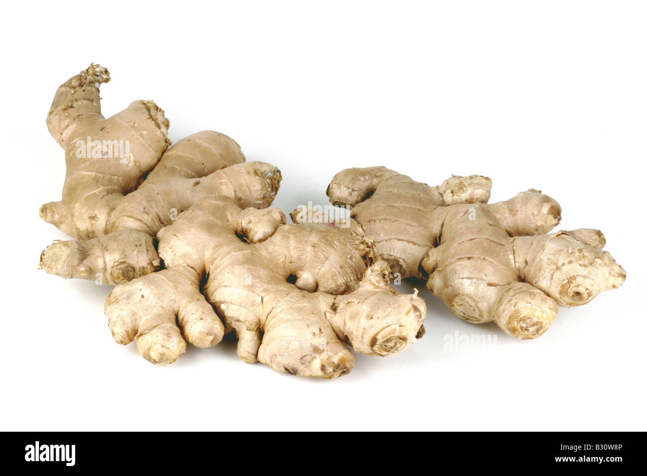 Zingiber officinale, ginger, common ginger, cooking ginger, Canton ginger Stock Photo