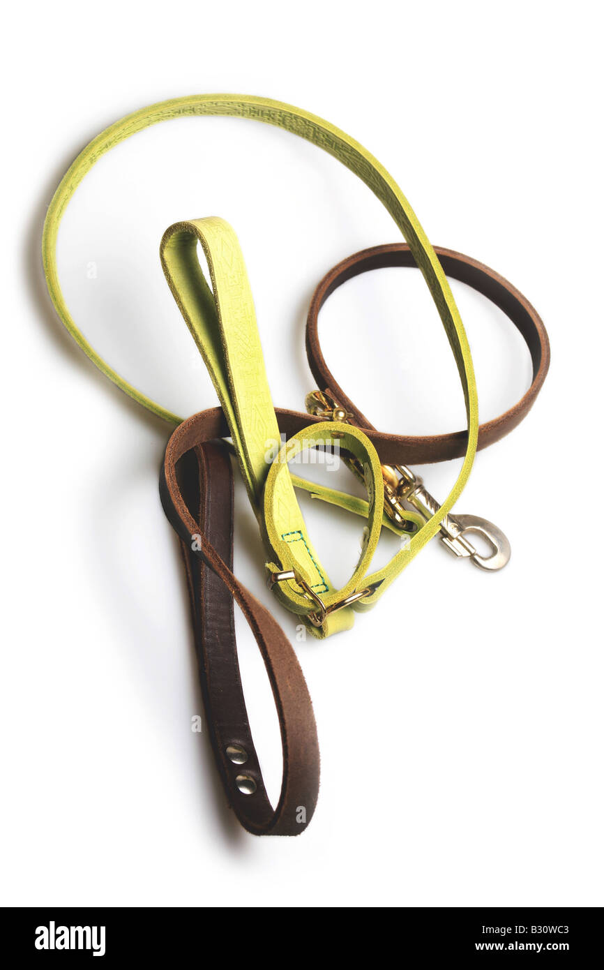 Two dogs leads cut out hires stock photography and images Alamy