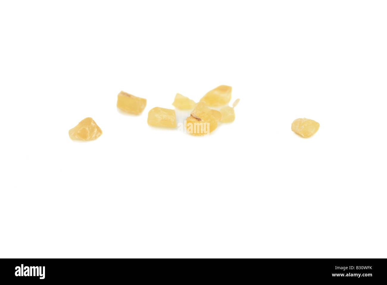 Triticum turgidum ssp. durum, Triticum durum, Durum Wheat Stock Photo
