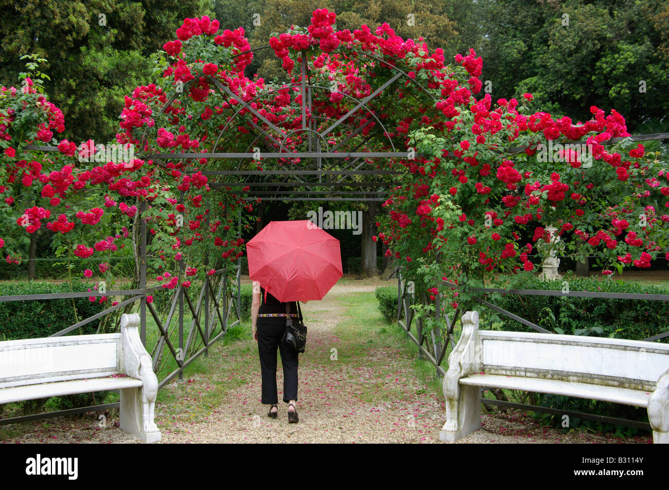 woman seen from behind walking with a red umbrella through a pergola with red roses Stock Photo