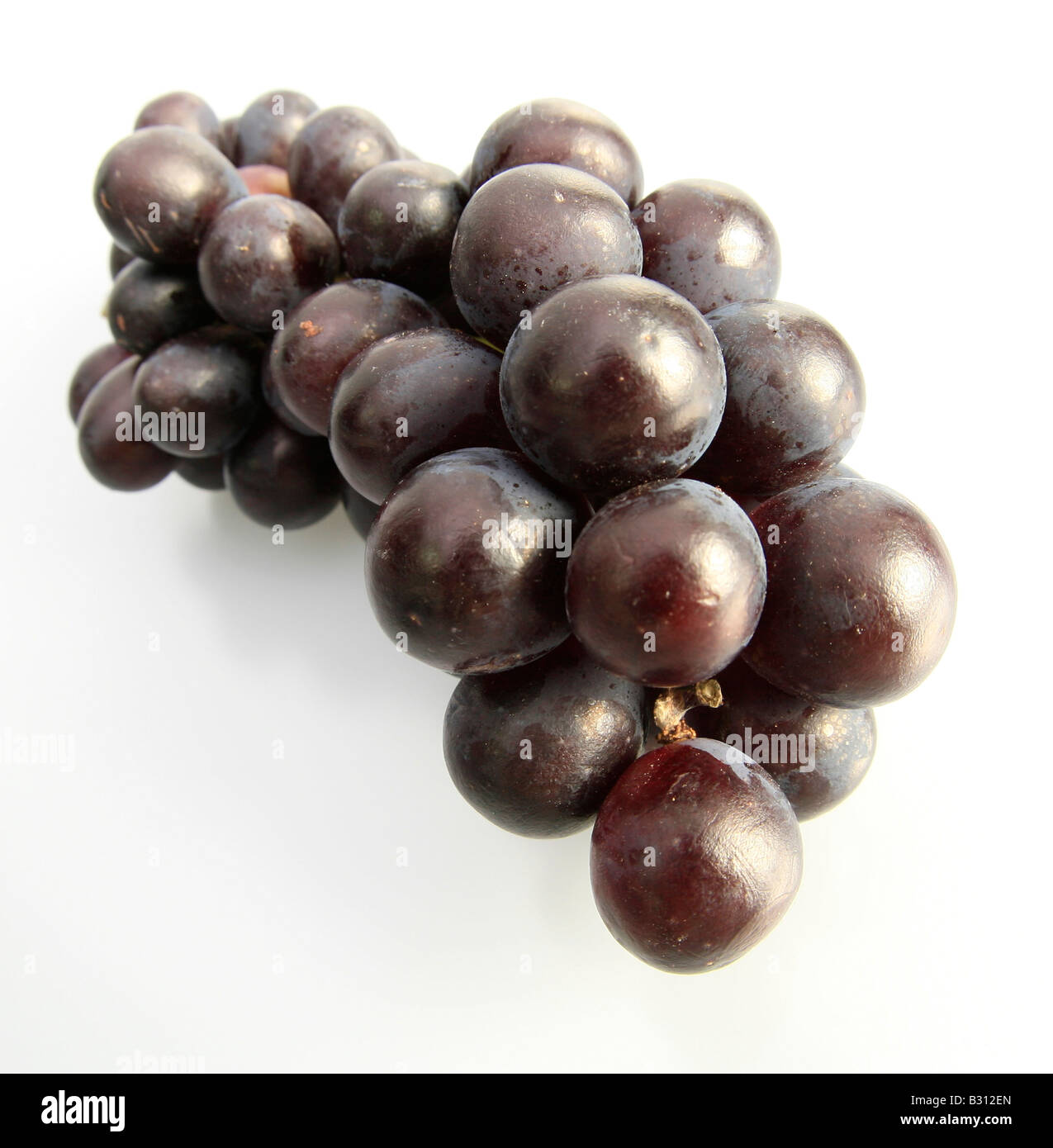 Vitis vinifera, grape-vine, vine Stock Photo