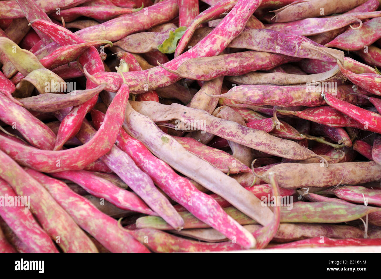 France beans hires stock photography and images Alamy