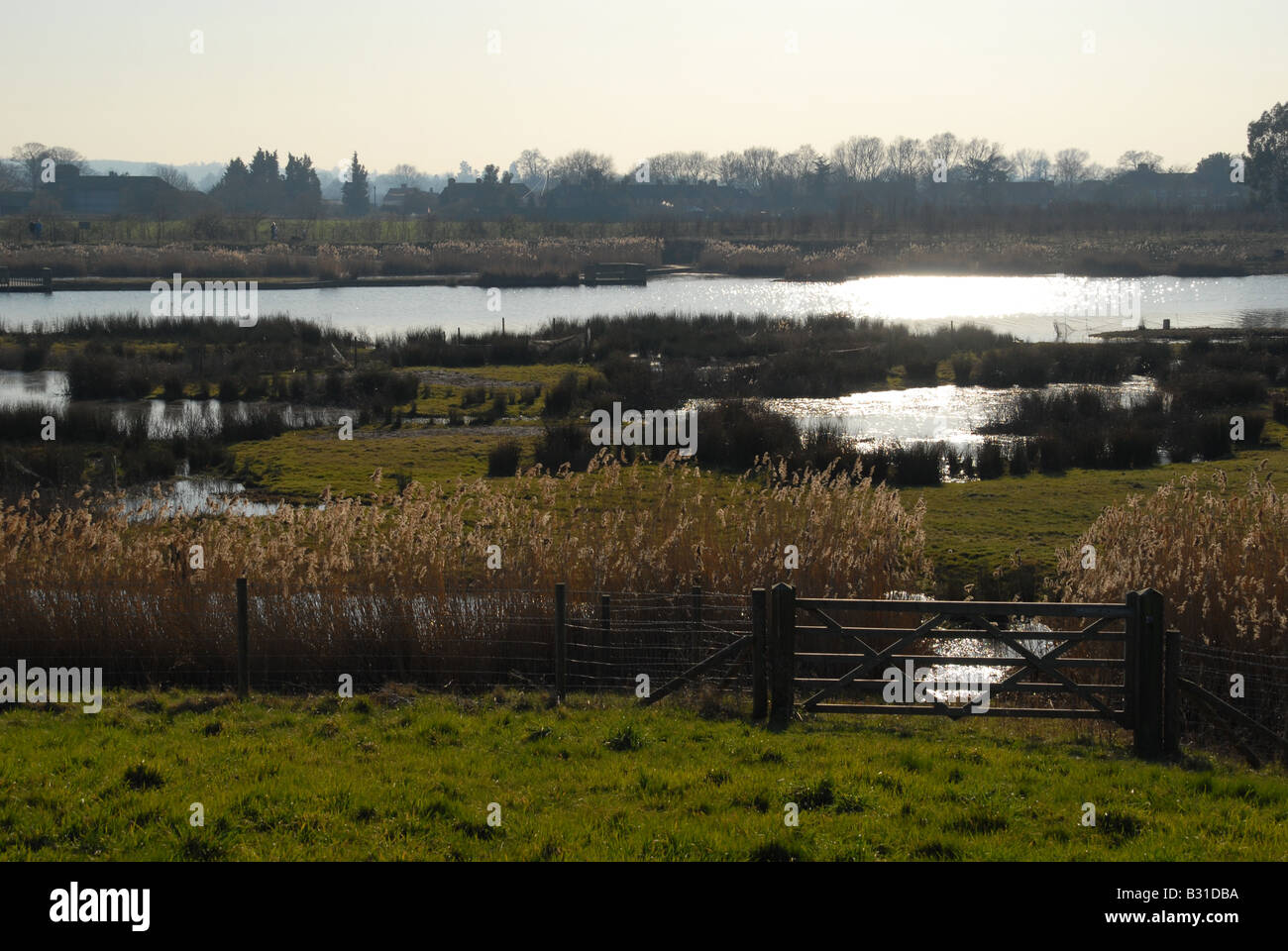 The Jubilee river viewed from the wetlands nature reserve. Stock Photo