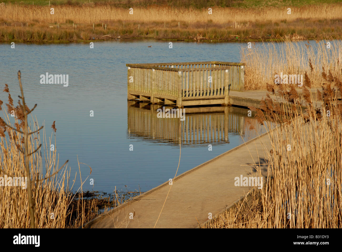 Bird Watch Ramp A floating walkway giving public access to a bird watching platform ...