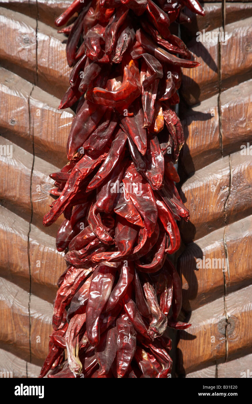 Bundle Of Chillies High Resolution Stock Photography and Images - Alamy