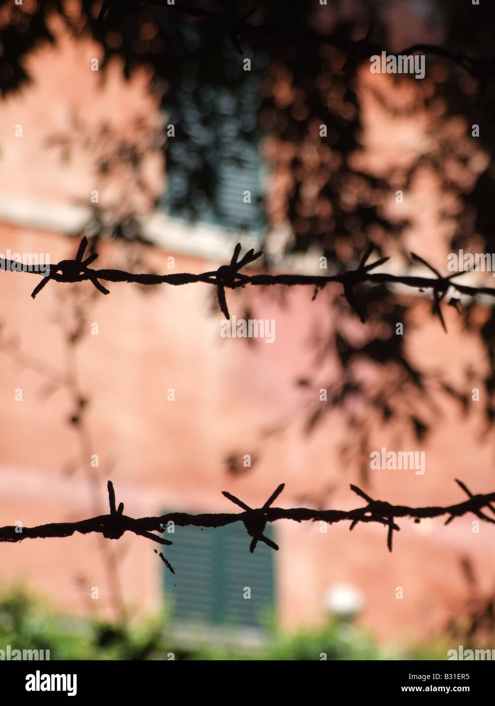 close up of barbed wire fence with property in background Stock Photo ...