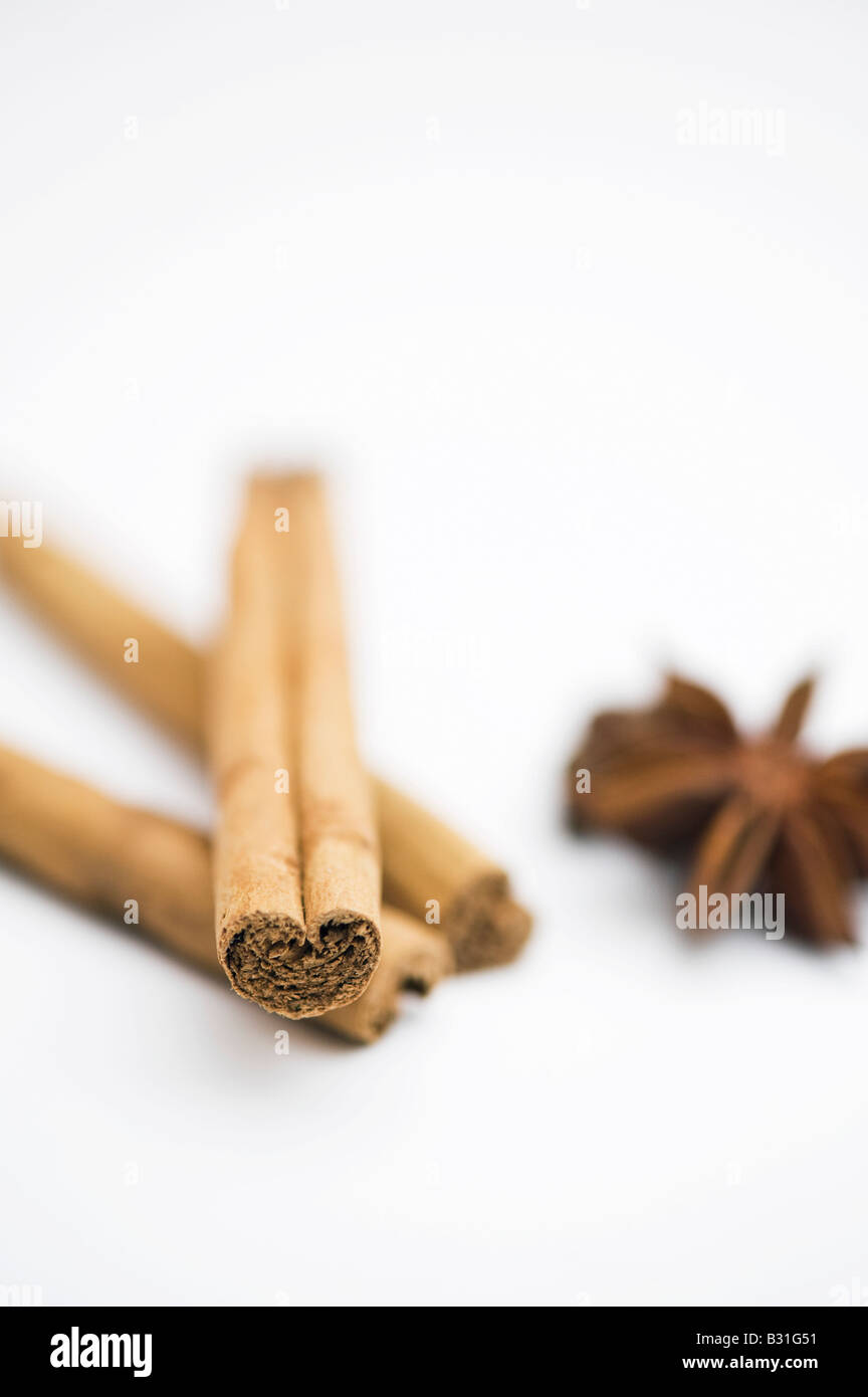 Star anise and cinnamon sticks on white background Stock Photo