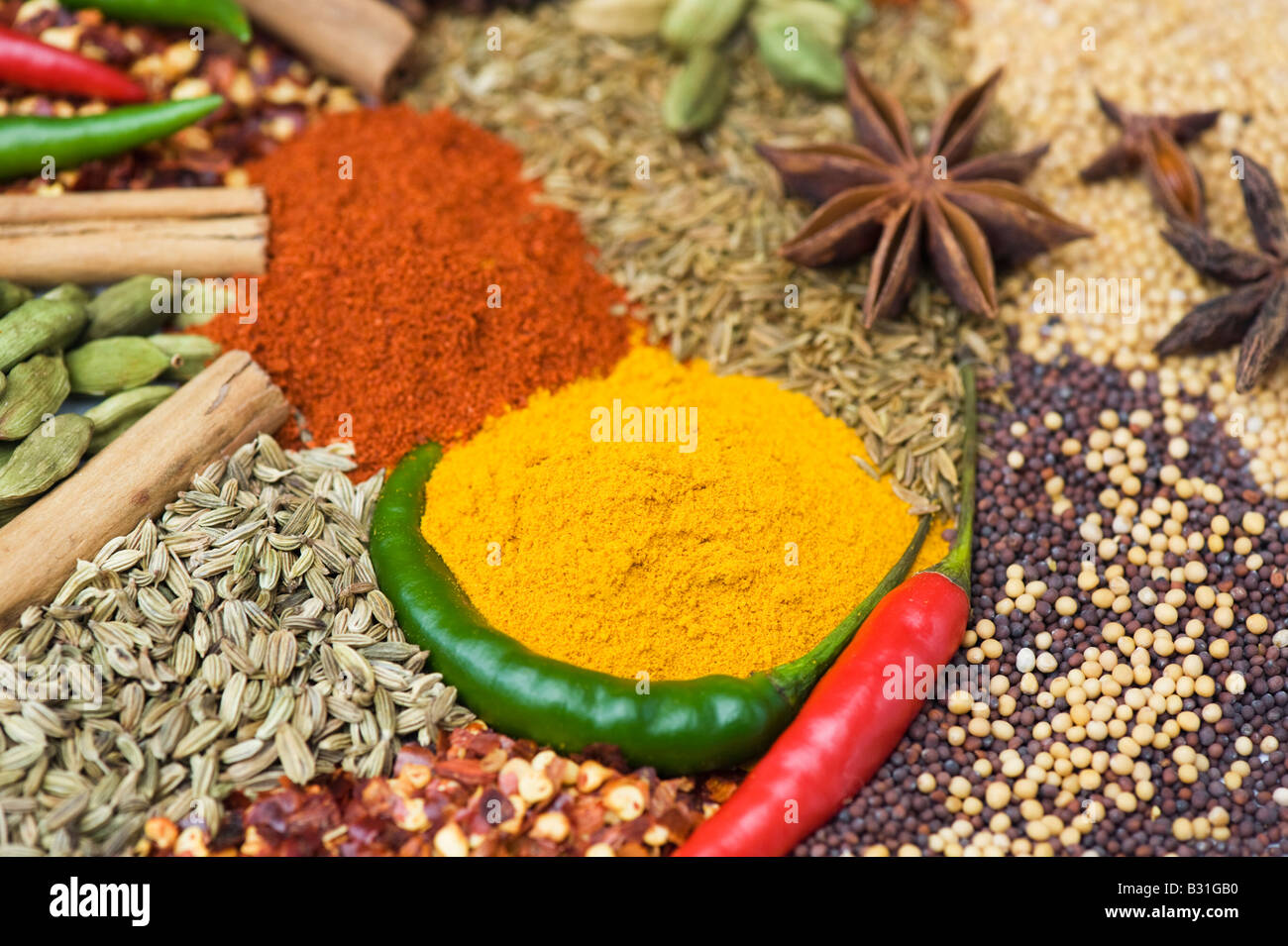 Indian cooking spices Stock Photo