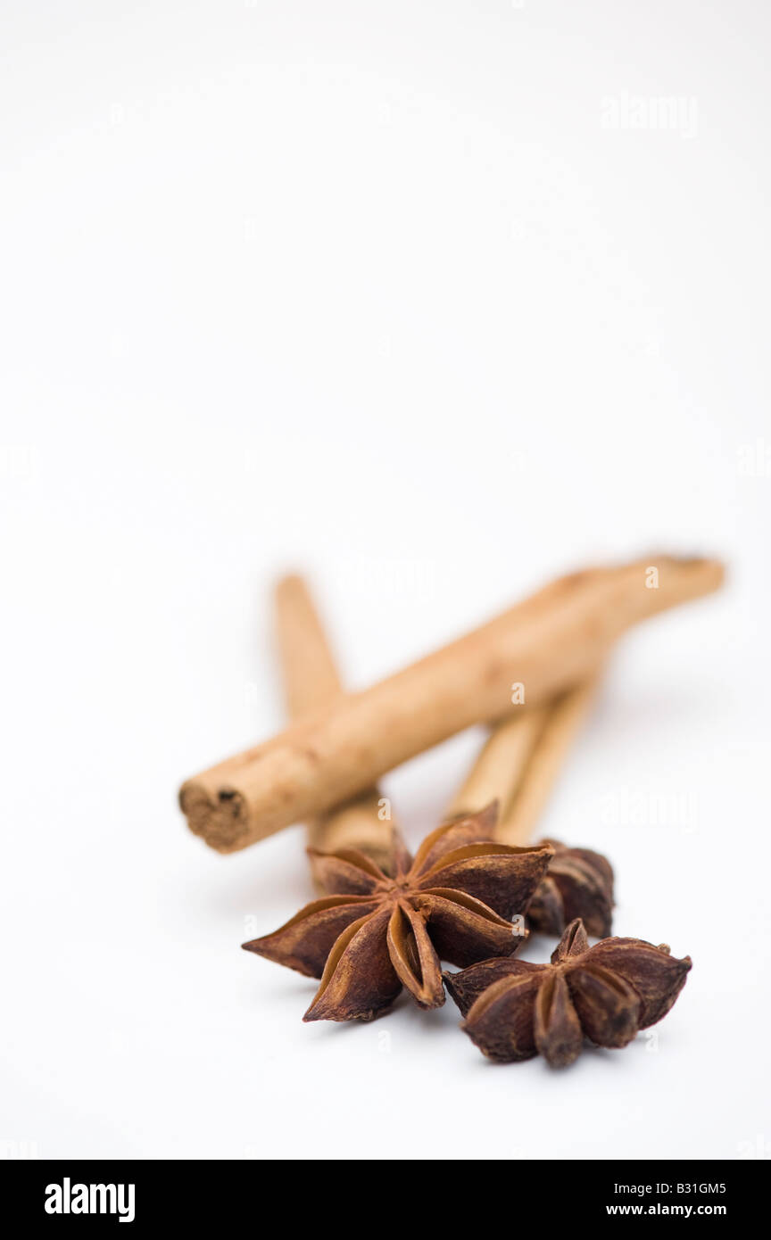 Star anise and cinnamon sticks on white Stock Photo