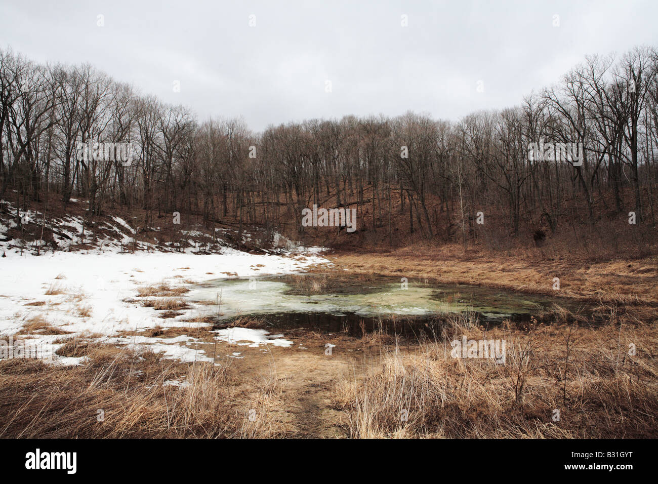 GREENBUSH KETTLE WATER FILLED POST GLACIAL DEPRESSION NEAR ICE AGE